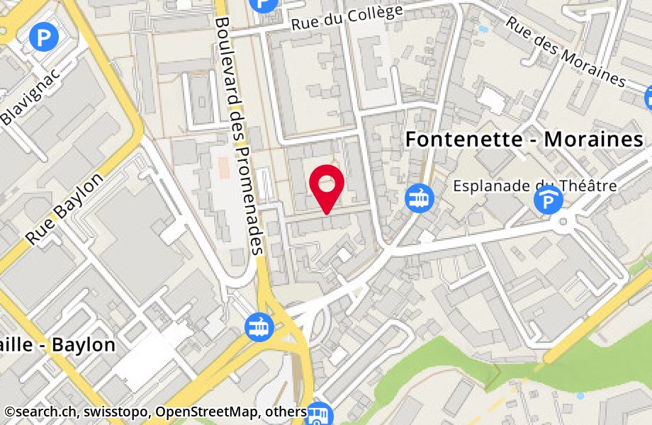 Magnetic Emplois SA, Temporary and permanent employment in Carouge -  search.ch