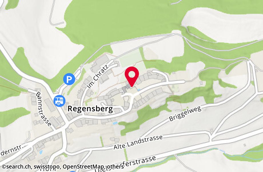 Oberburg 19, 8158 Regensberg